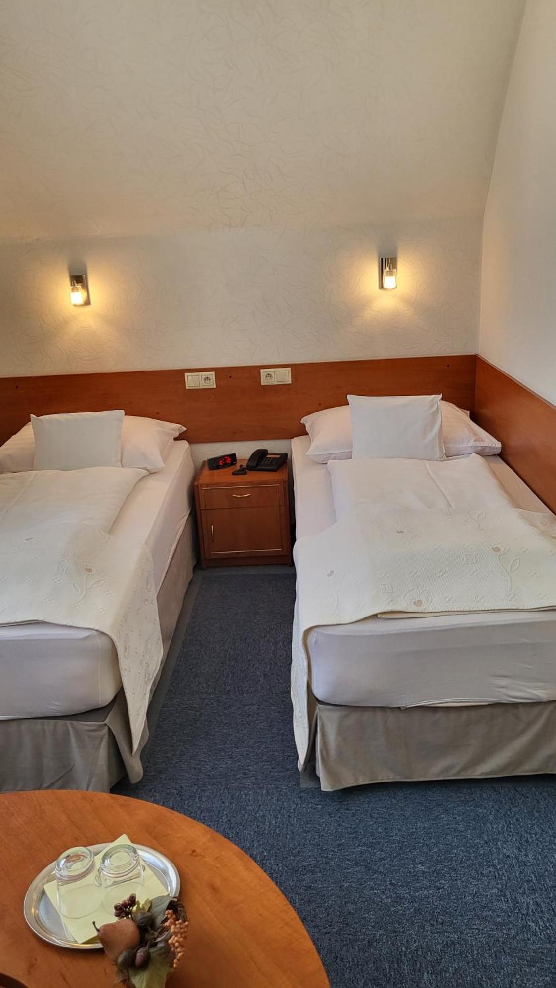 Hotel Margit Trenčianske Teplice Eksteriør bilde